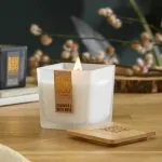 Cedarwood & White Musk - Bamboo Large Jar Candle