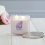 Sanctuary - 2 Wick Ellipse Candle