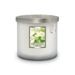 Lime Splash - 2 Wick Ellipse Candle