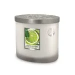 Lime Splash - 2 Wick Ellipse Candle