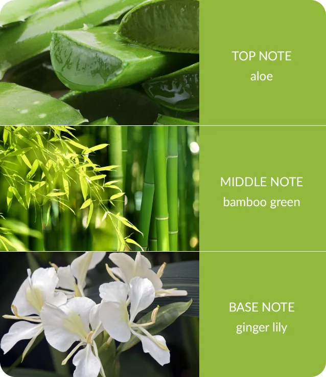 Bamboo & Ginger Lily - Bamboo Fragrance Diffuser