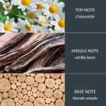 Vanilla & White Woods - Bamboo Fragrance Diffuser