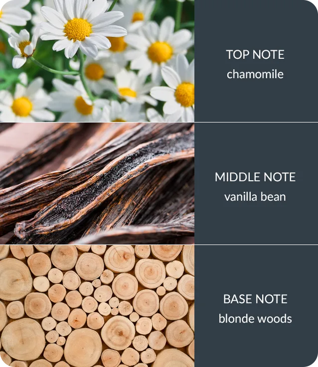 Vanilla & White Woods - Bamboo Wax Melt