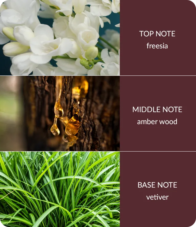 Amber Wood & Vetiver - Bamboo Wax Melt
