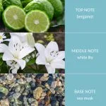 Bergamot & Sea Musk Musk - Bamboo Small Jar Candle
