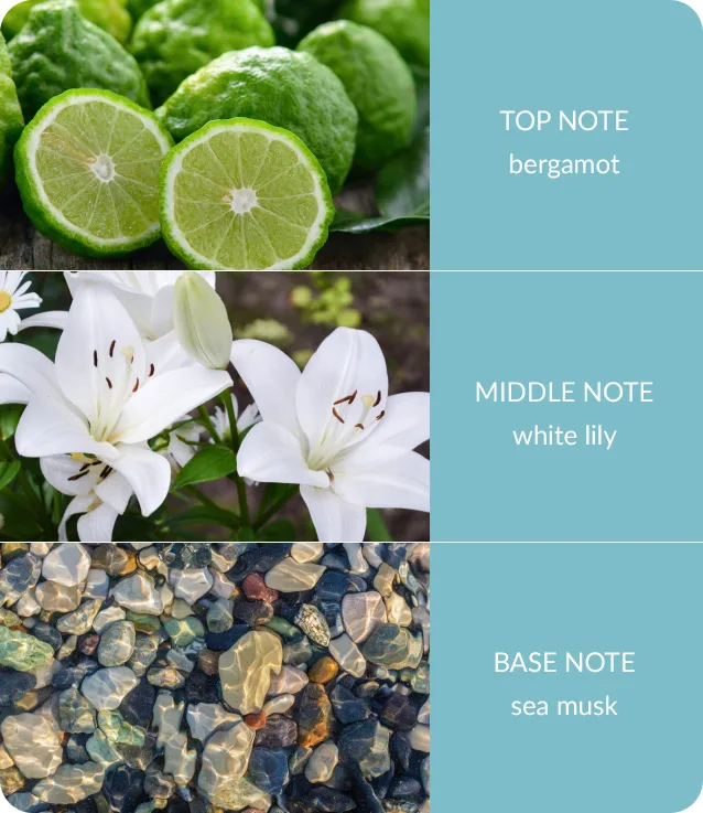 Bergamot & Sea Musk - Bamboo Fragrance Diffuser