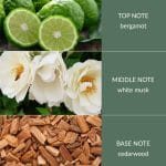 Cedarwood & White Musk - Bamboo Fragrance Diffuser