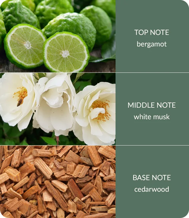 Cedarwood & White Musk - Bamboo Large Jar Candle