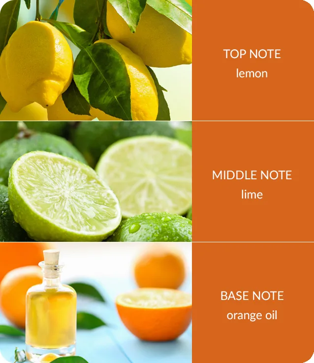 Citrus Crush - 2 Wick Ellipse Candle