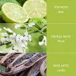 Lime Splash - 2 Wick Ellipse Candle