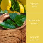 Patchouli & Guaiac Wood - Bamboo Fragrance Spray