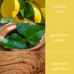 Patchouli & Guaiac Wood - Bamboo Fragrance Spray