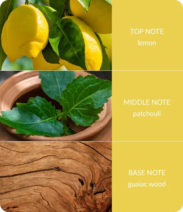 Patchouli & Guaiac Wood - Bamboo Fragrance Spray