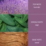 Lavender & Sage - 2 Wick Ellipse Candle