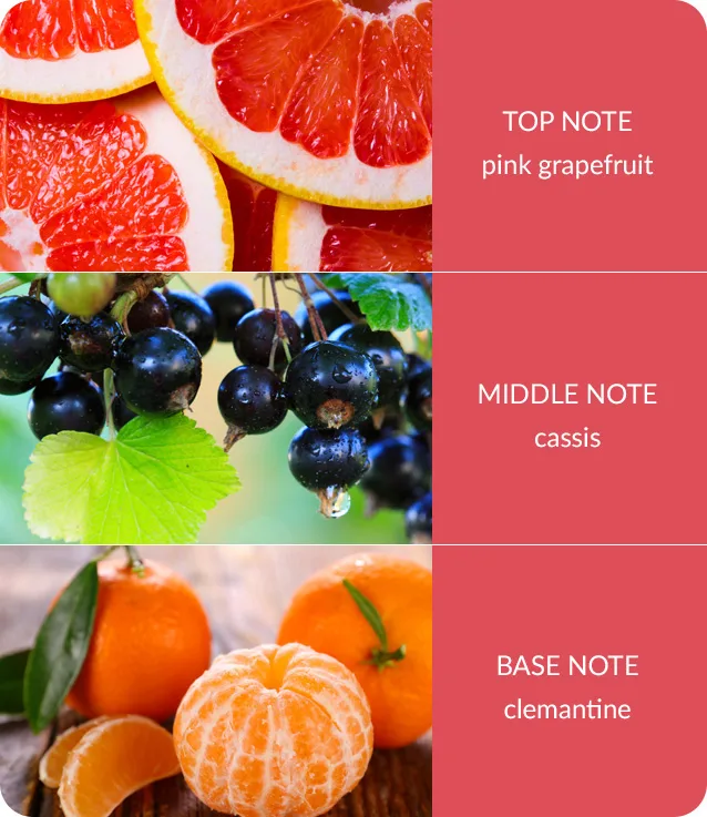 Pink Grapefruit & Cassis - 2 Wick Ellipse Candle