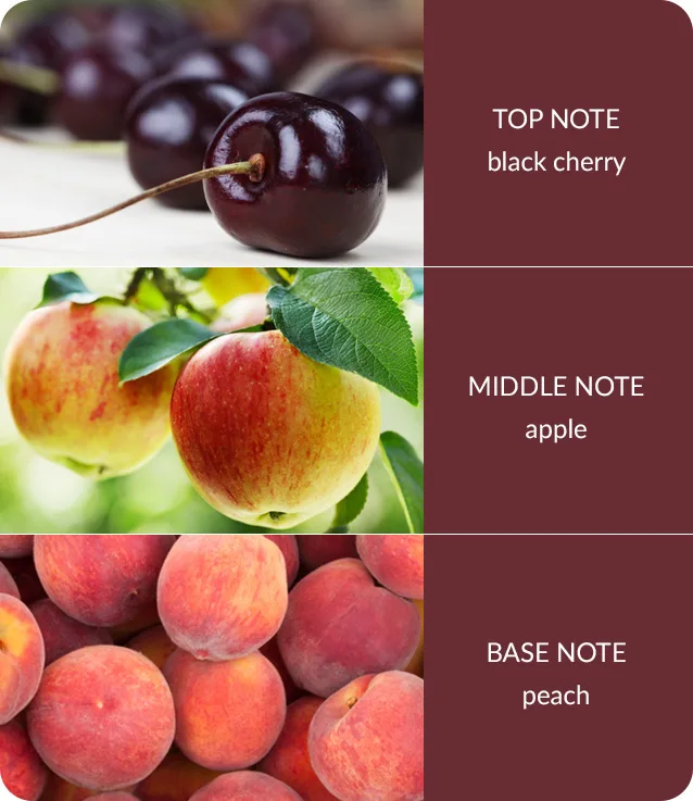 Sweet Black Cherry - 2 Wick Ellipse Candle