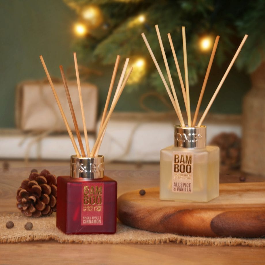 2 x Mini Diffuser - Bamboo Gift Set
