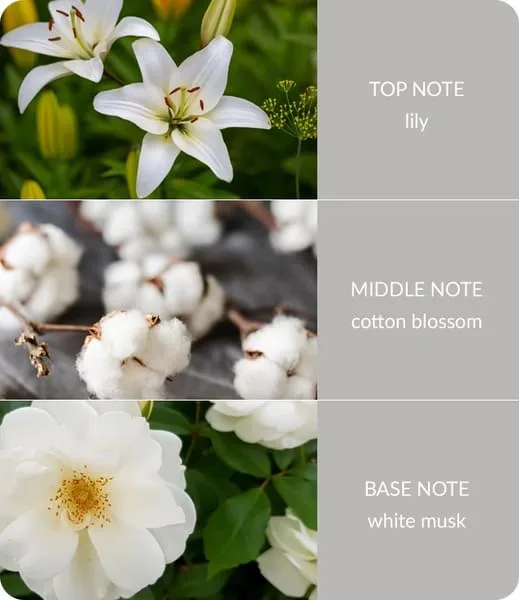 Cotton Blossom - Wax Melt