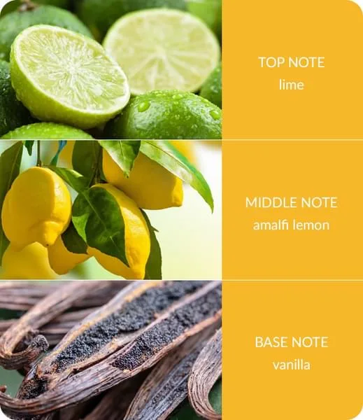 Lemon Bliss - Fragrance Diffuser
