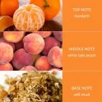 Peach Passion - Fragrance Diffuser
