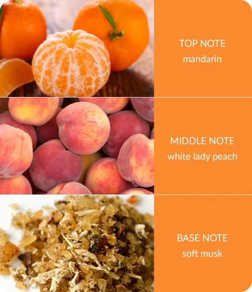 Peach Passion - Wax Melt