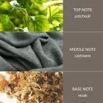Cashmere - Fragrance Diffuser