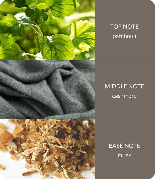 Cashmere - Fragrance Diffuser