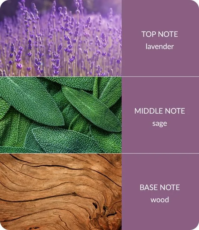 Lavender & Sage - Essential Oil Blend