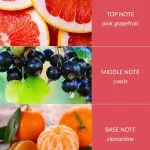 Pink Grapefruit & Cassis - Essential Oil Blend