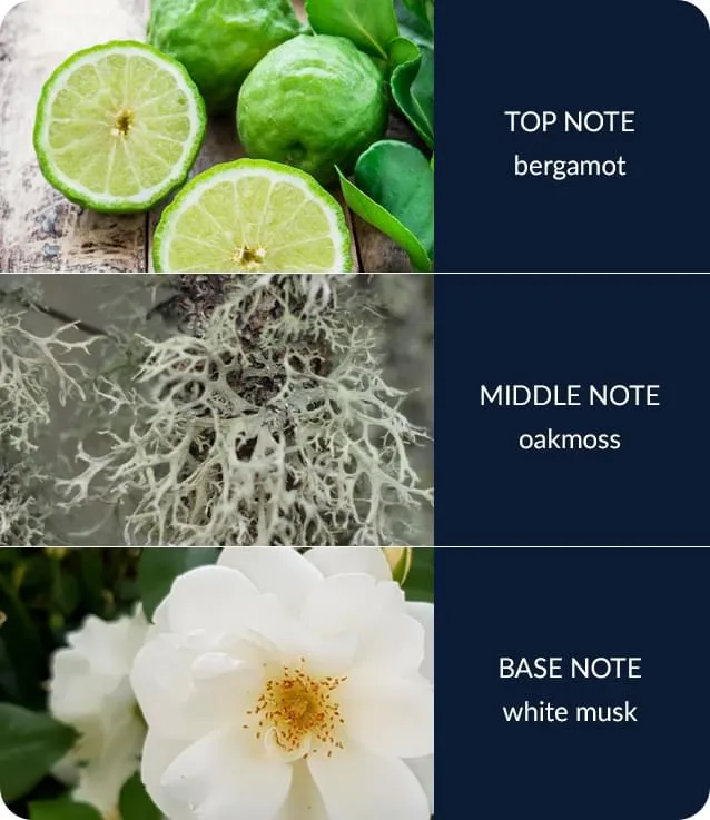 River Rock - Essential Oil Blend