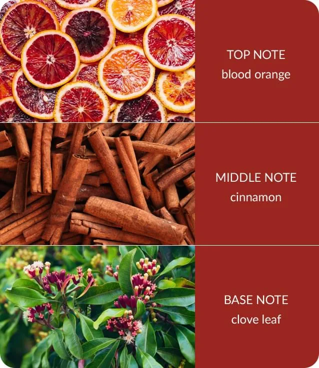 Orange Zest & Clove Oil - Bamboo Wax Melt