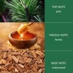 Winter Pine & Cedarwood - Bamboo Fragrance Diffuser