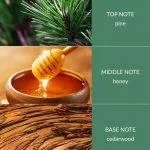 Christmas Tree - Fragrance Diffuser