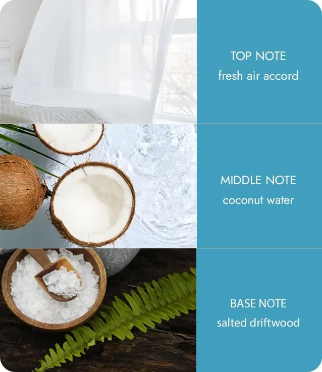 Sea Salt - Essential Oil Blend