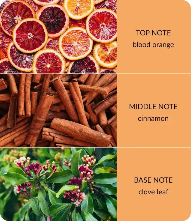 Orange Zest & Clove Oil - Bamboo Wax Melt