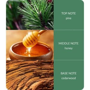 Christmas Candles - Christmas Tree Christmas Candles - Christmas Tree