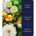 Mini Candle Collection -  Gift Set