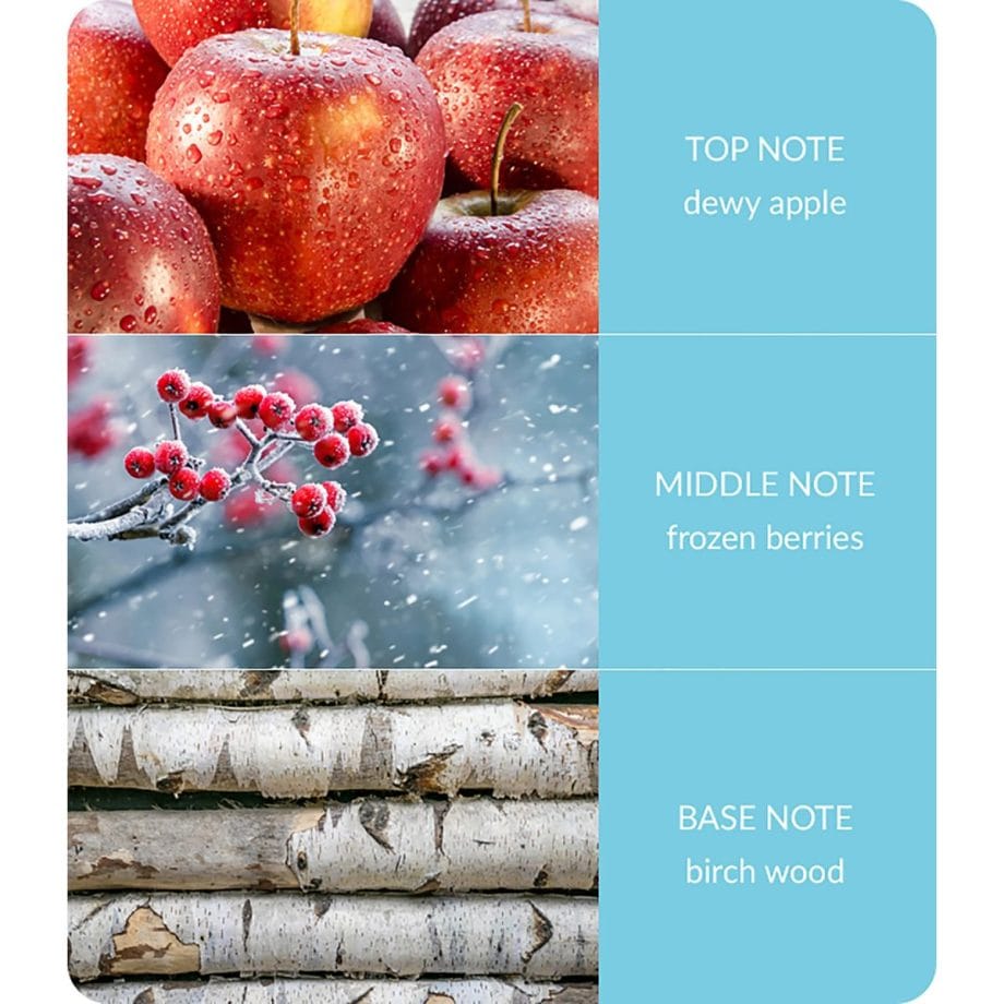 Winter Berry Frost - Tin Candle