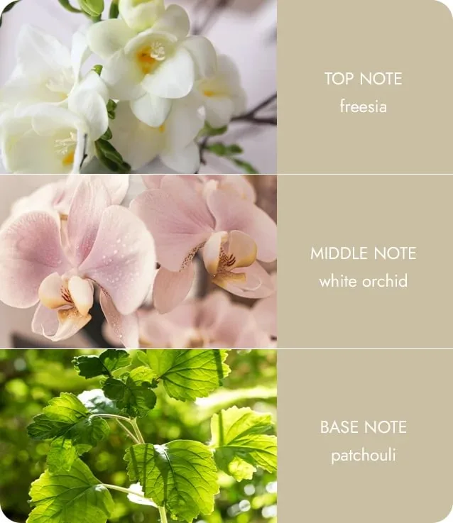 Love Always - Essential Oil