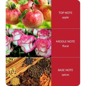 Christmas Candles - Spiced Apple Christmas Candles - Spiced Apple
