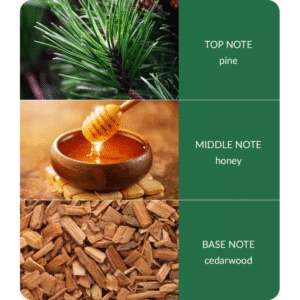 Christmas Candles - Winter Pine Christmas Candles - Winter Pine