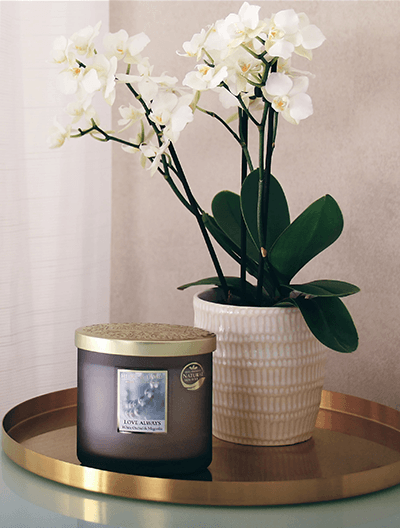 Sophisticated Candles Sophisticated Candles
