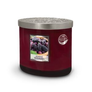Simply Mulberry - 2 Wick Ellipse Candle