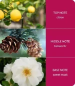 notes-christmas-angel-medium