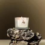 70r01200709-1-medium