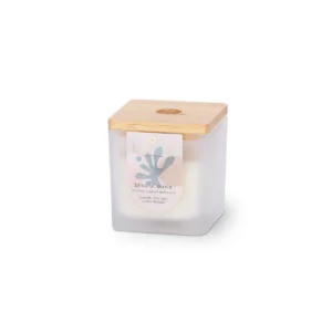 Blissful Oasis - Restore Small Candle
