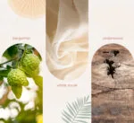 Notes - Pure Tranquility