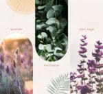 Notes - Reflective Rest