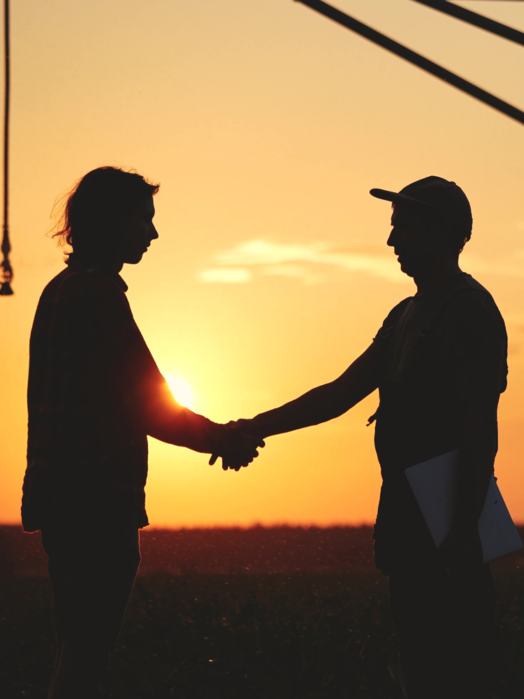 soy bean supporting agriculture