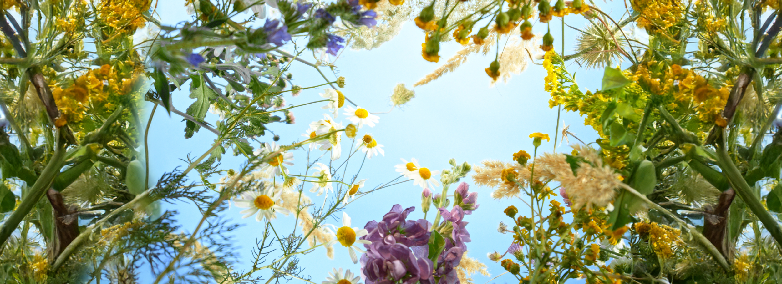 Ethical Home Fragrance